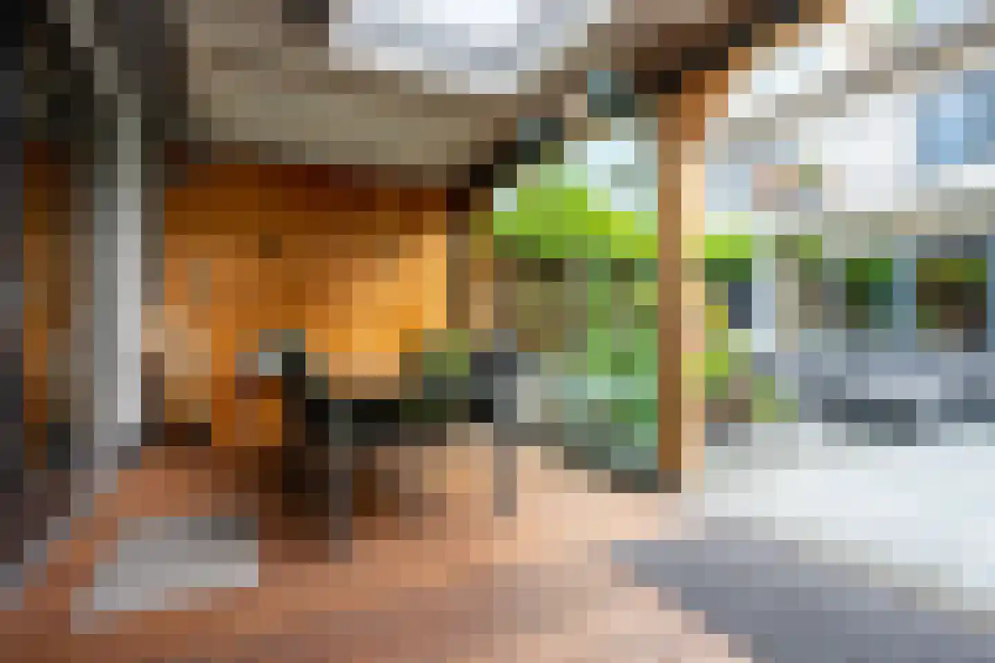 Panweg 57 Zeist thumbnail 31