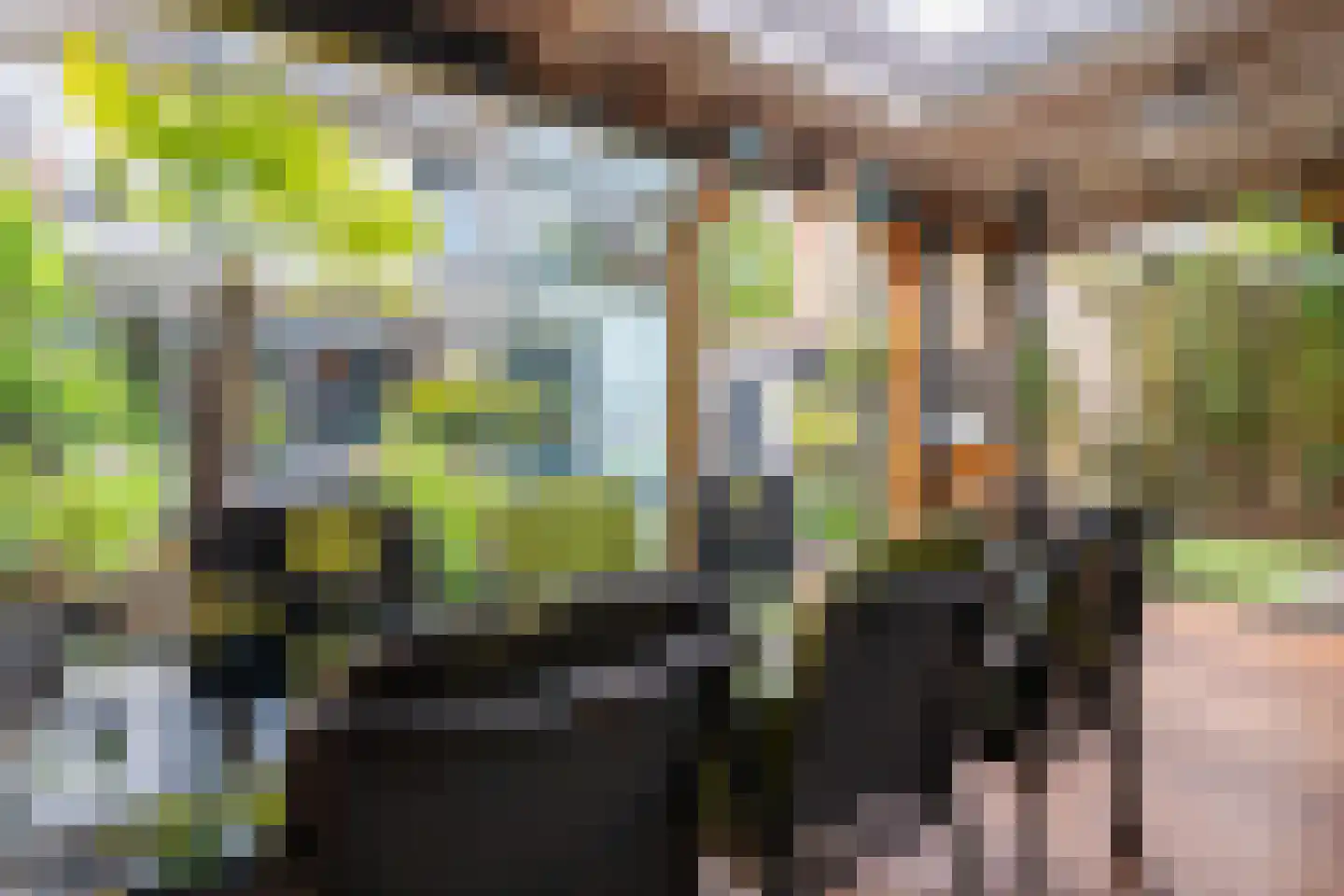 Panweg 57 Zeist thumbnail 32