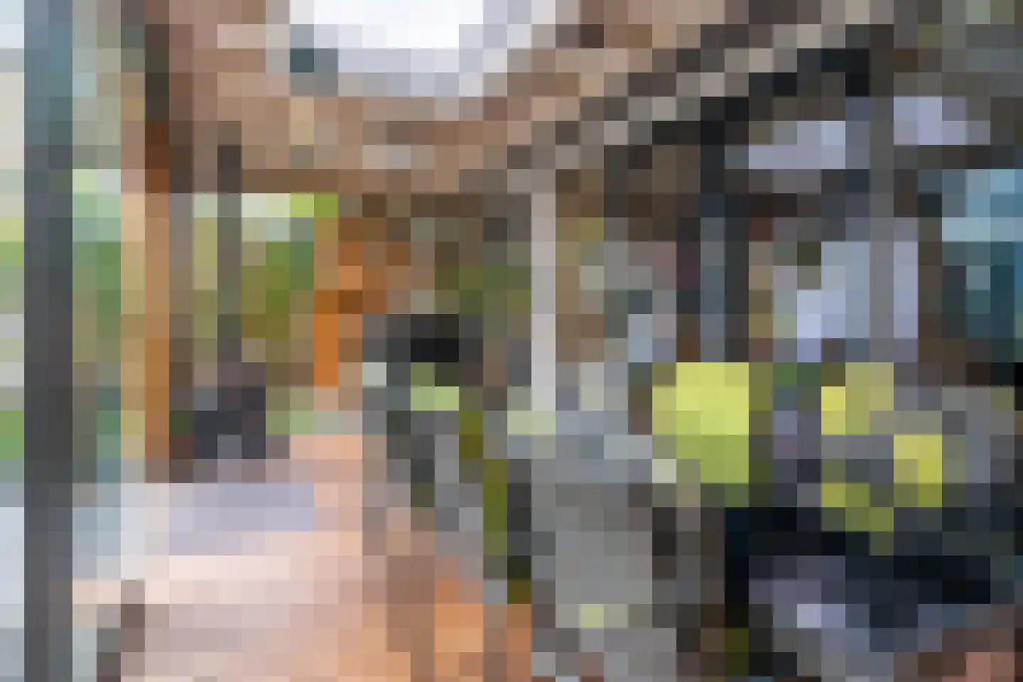 Panweg 57 Zeist thumbnail 33