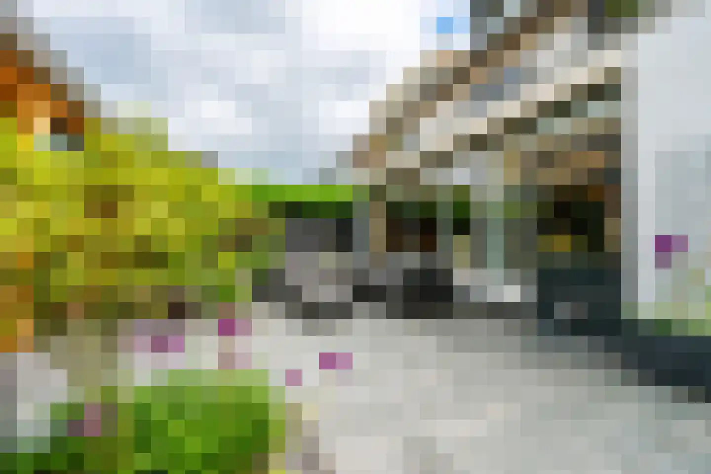 Panweg 57 Zeist thumbnail 40