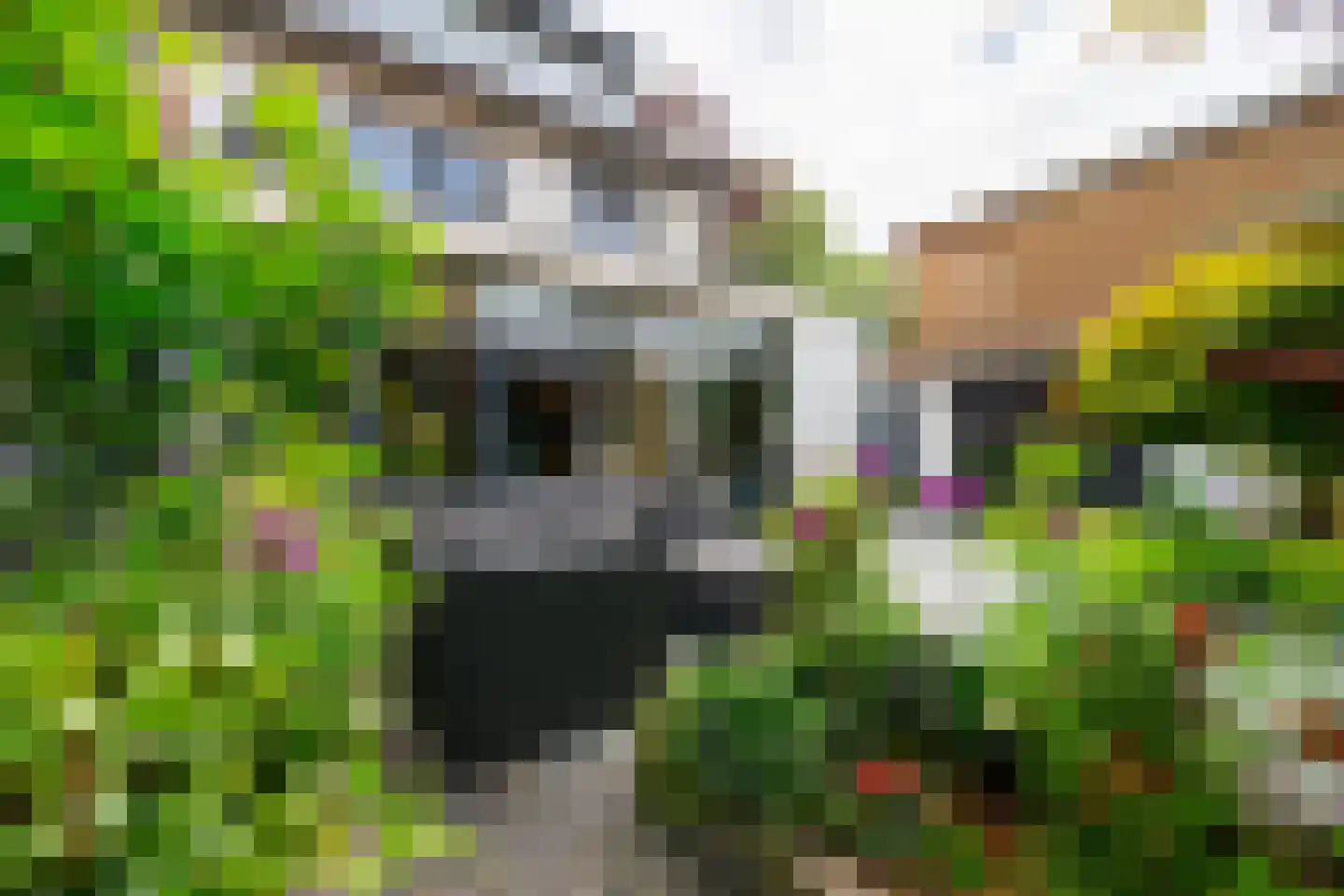 Panweg 57 Zeist thumbnail 41