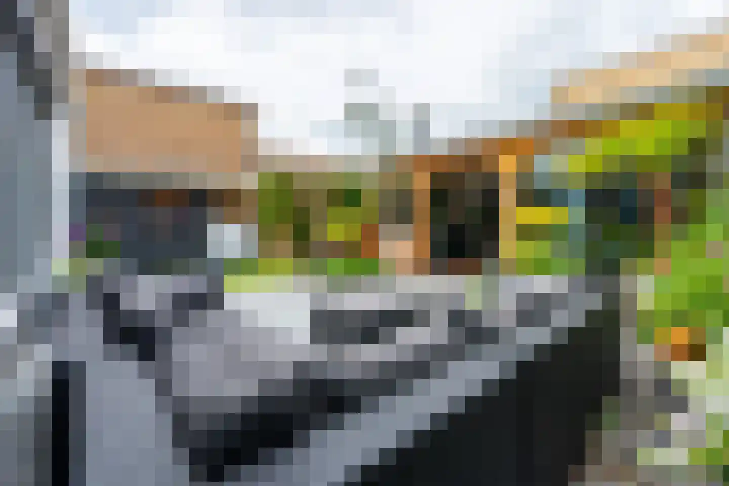 Panweg 57 Zeist thumbnail 42