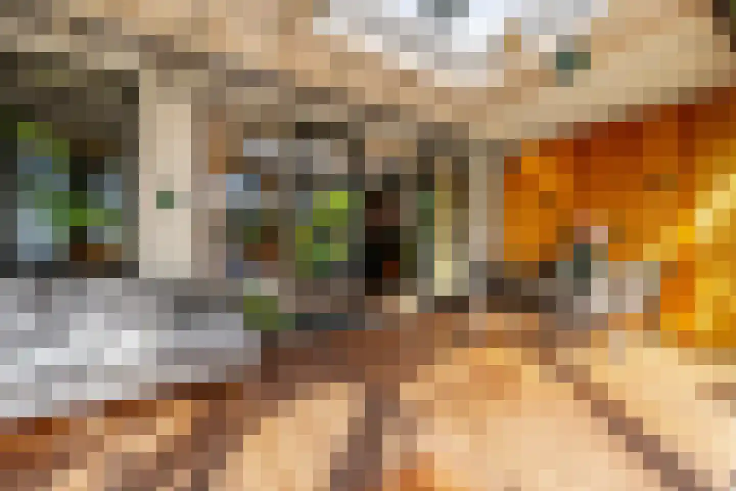 Panweg 57 Zeist thumbnail 44