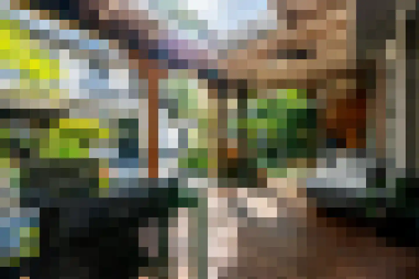 Panweg 57 Zeist thumbnail 45