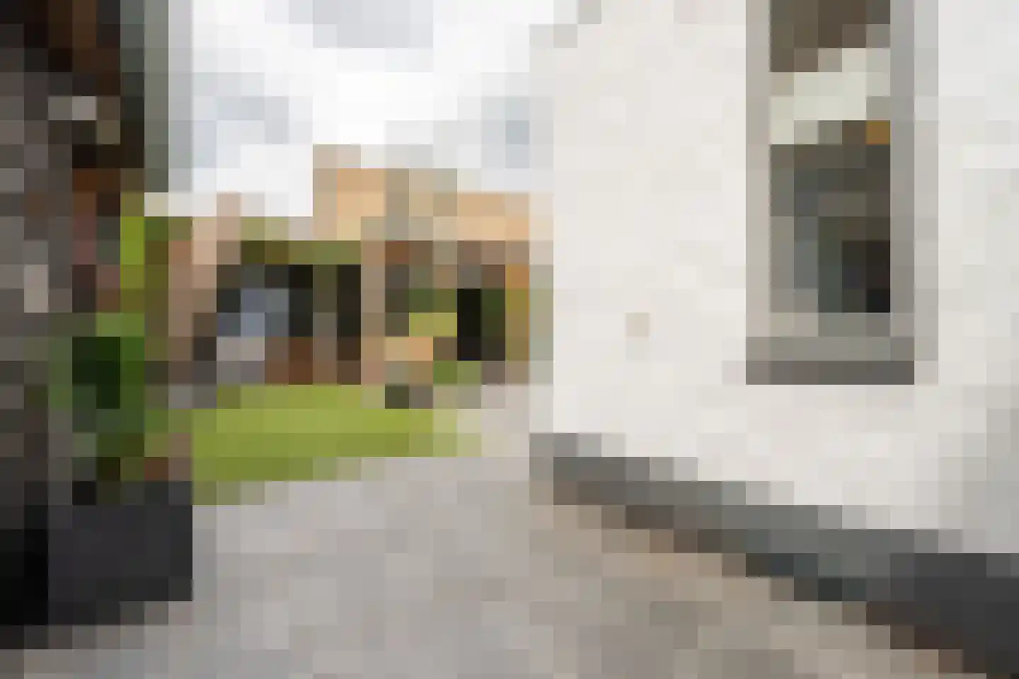 Panweg 57 Zeist thumbnail 45