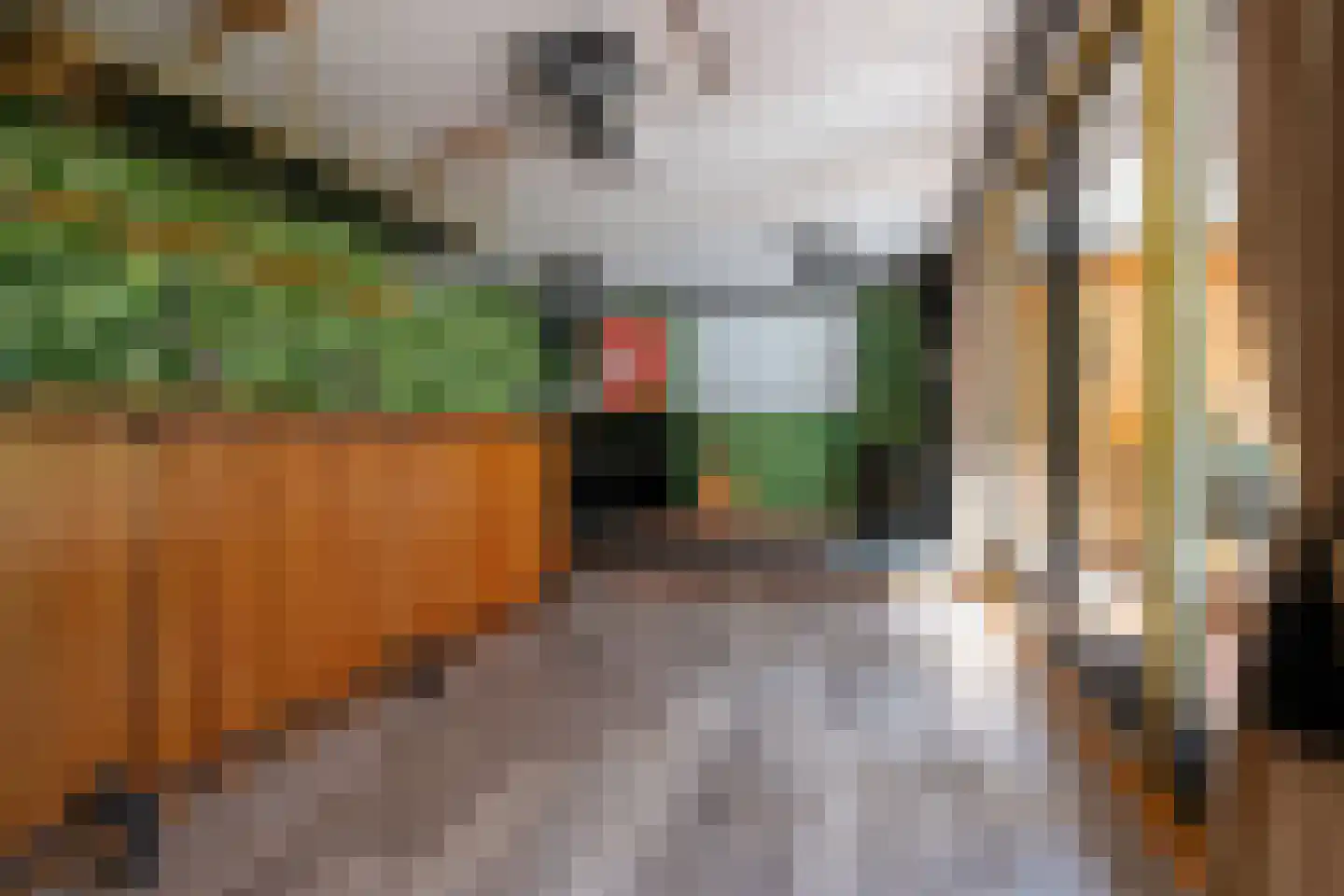 Panweg 57 Zeist thumbnail 51