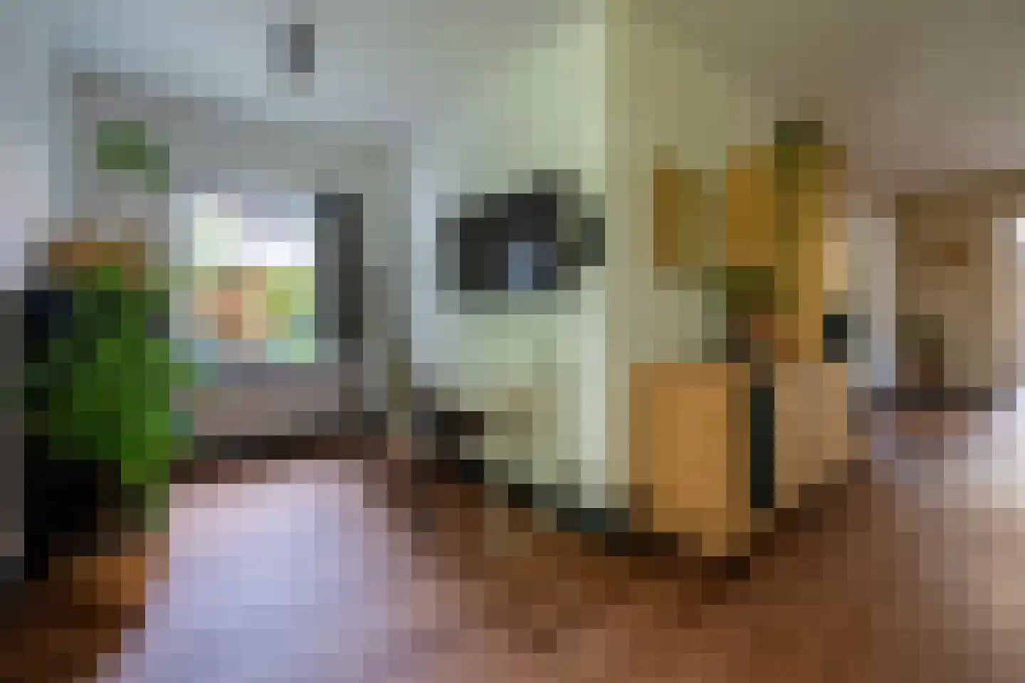 Panweg 57 Zeist thumbnail 8