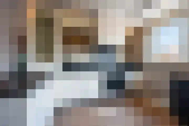 Panweg 65 Zeist thumbnail 10
