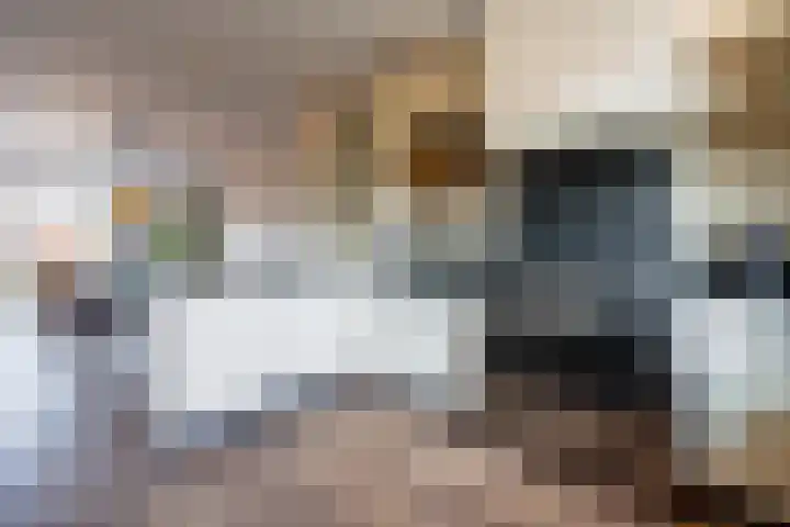 Panweg 65 Zeist thumbnail 12