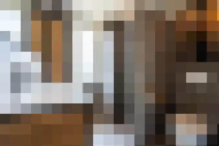 Panweg 65 Zeist thumbnail 22