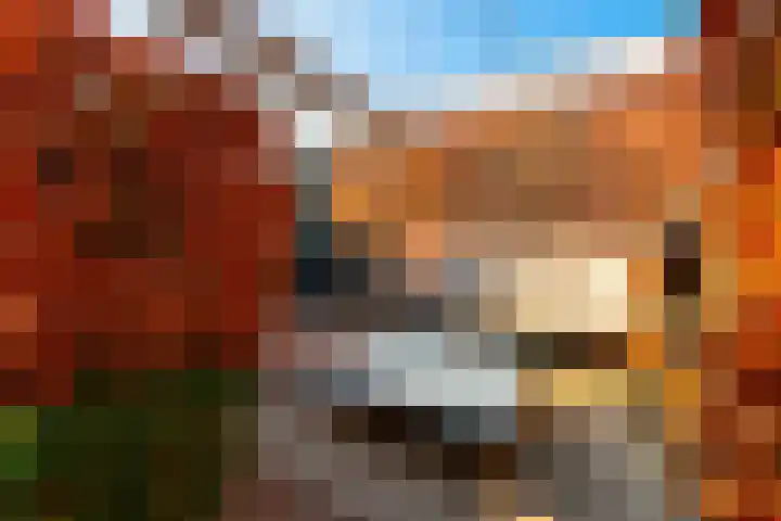 Panweg 65 Zeist thumbnail 33