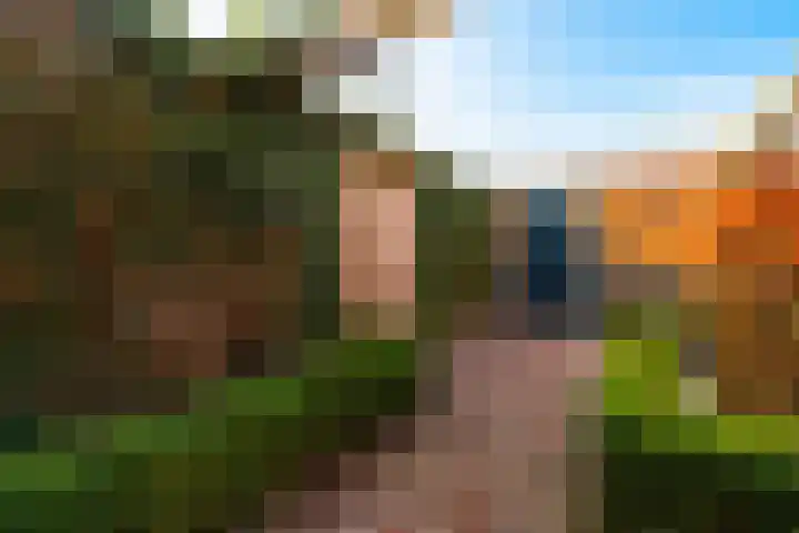 Panweg 65 Zeist thumbnail 34