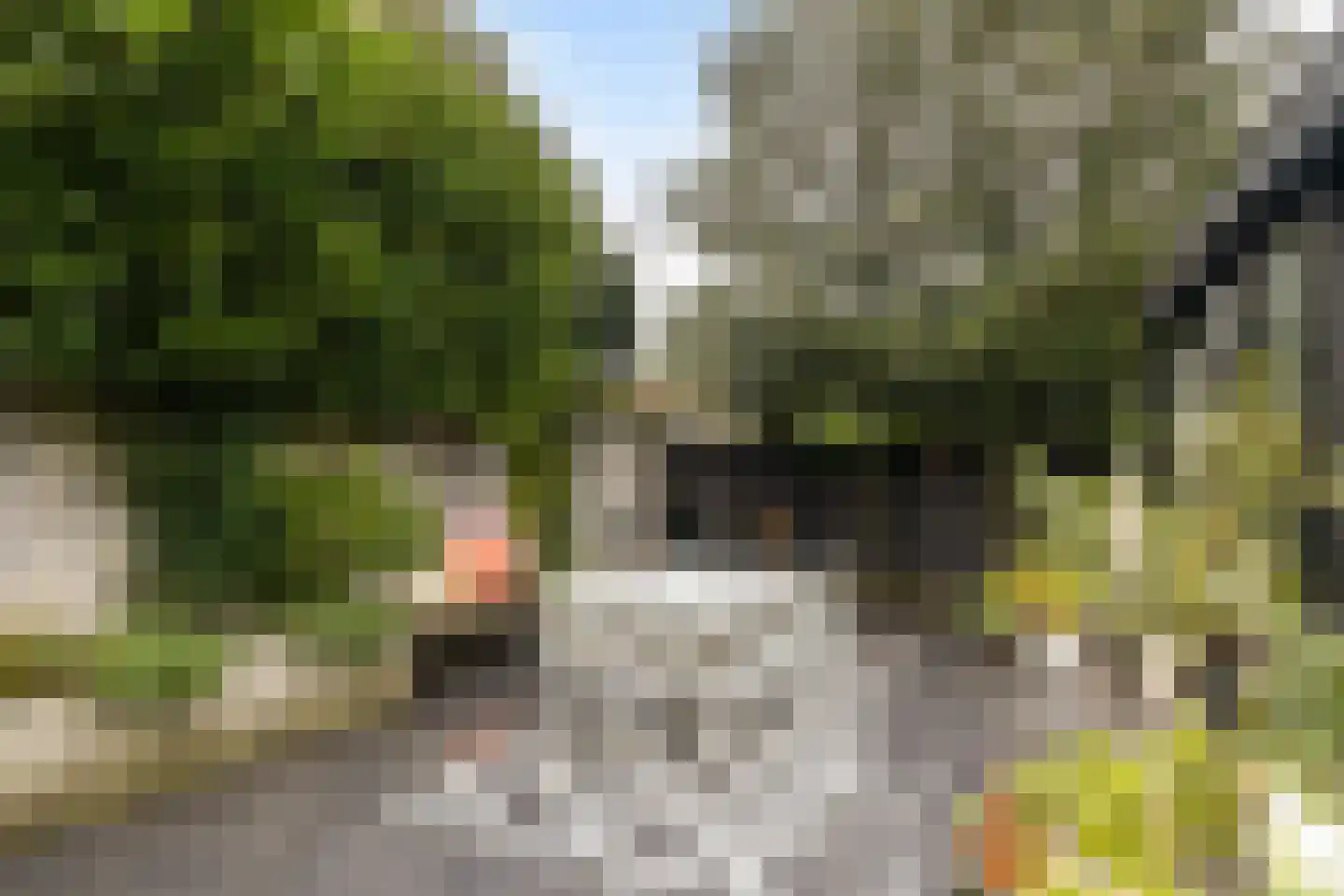 Panweg 75 Zeist thumbnail 24