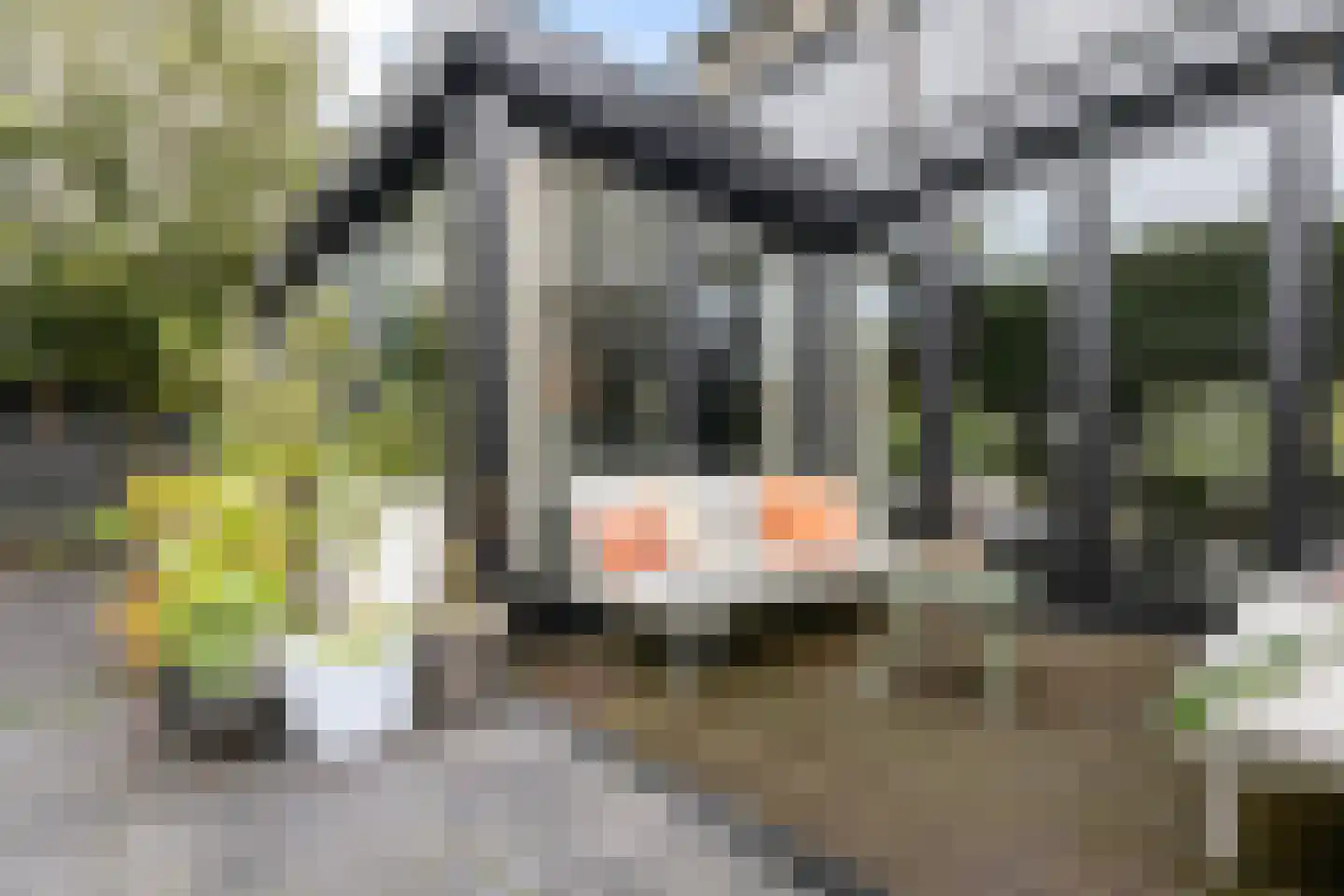 Panweg 75 Zeist thumbnail 27
