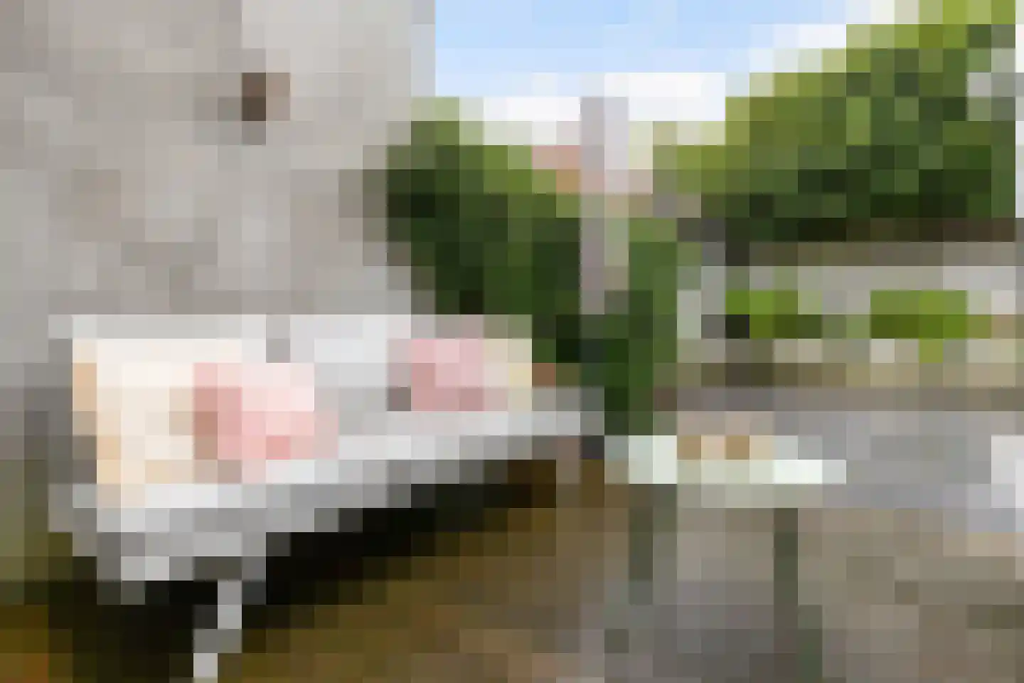 Panweg 75 Zeist thumbnail 28
