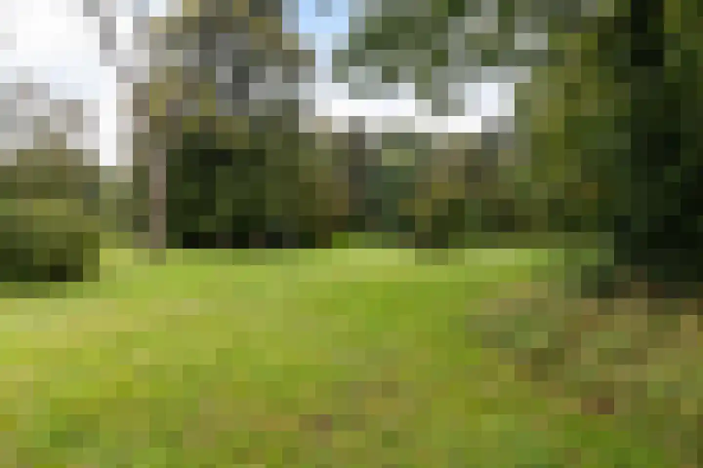 Panweg 75 Zeist thumbnail 48