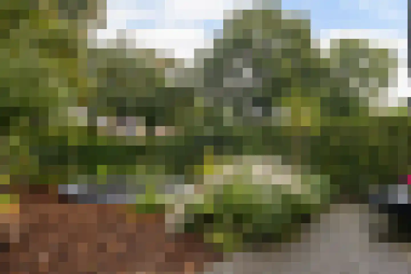 Panweg 75 Zeist thumbnail 5