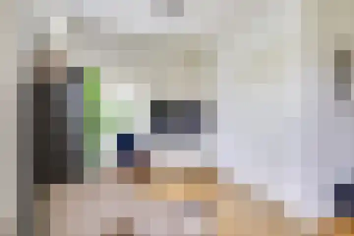 Panweg 88 Zeist thumbnail 10