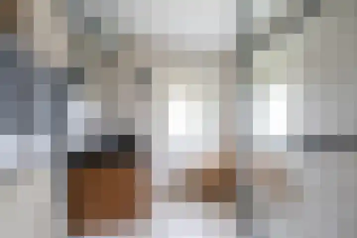 Panweg 88 Zeist thumbnail 32