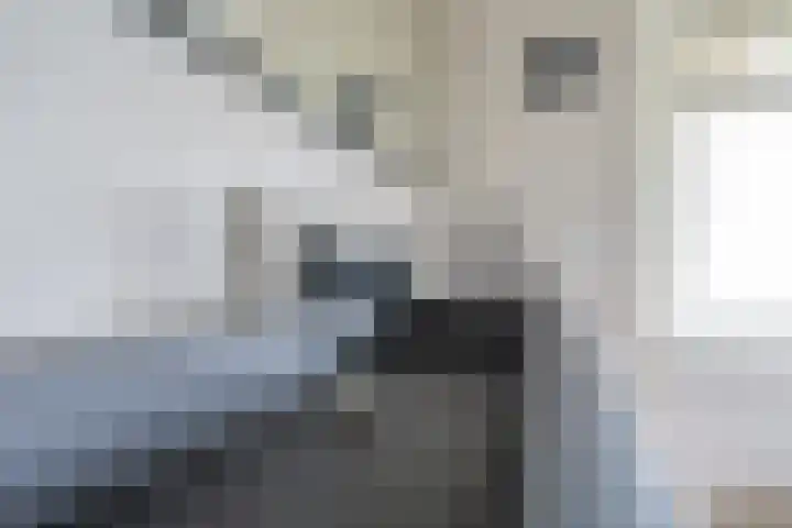 Panweg 88 Zeist thumbnail 36
