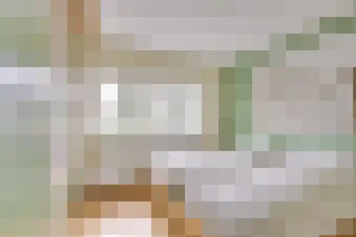 Panweg 88 Zeist thumbnail 38