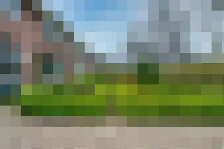 Panweg 88 Zeist thumbnail 49