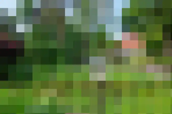 Paolalaan 16 Nunspeet thumbnail 10