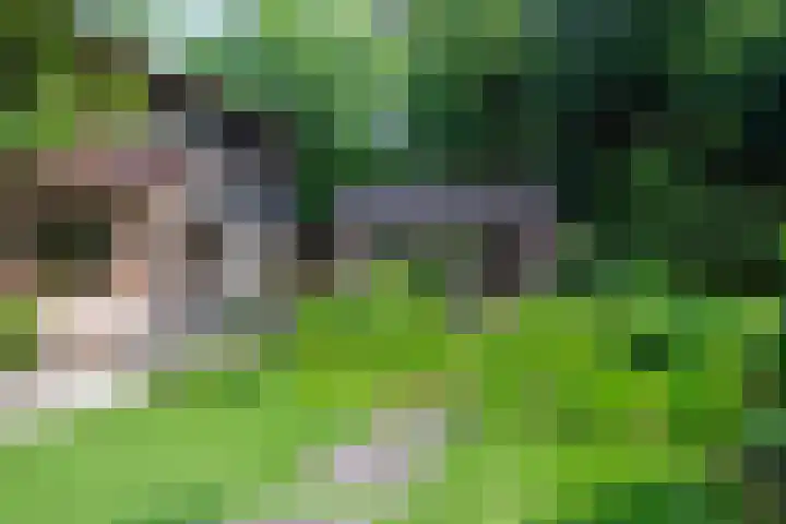 Paolalaan 16 Nunspeet thumbnail 11