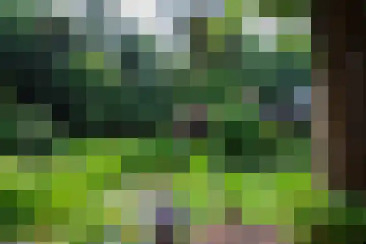 Paolalaan 16 Nunspeet thumbnail 12