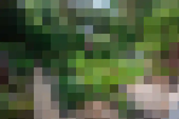 Paolalaan 16 Nunspeet thumbnail 13