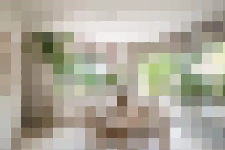 Paolalaan 16 Nunspeet thumbnail 15