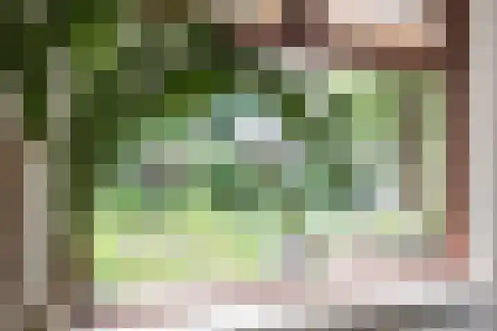 Paolalaan 16 Nunspeet thumbnail 16