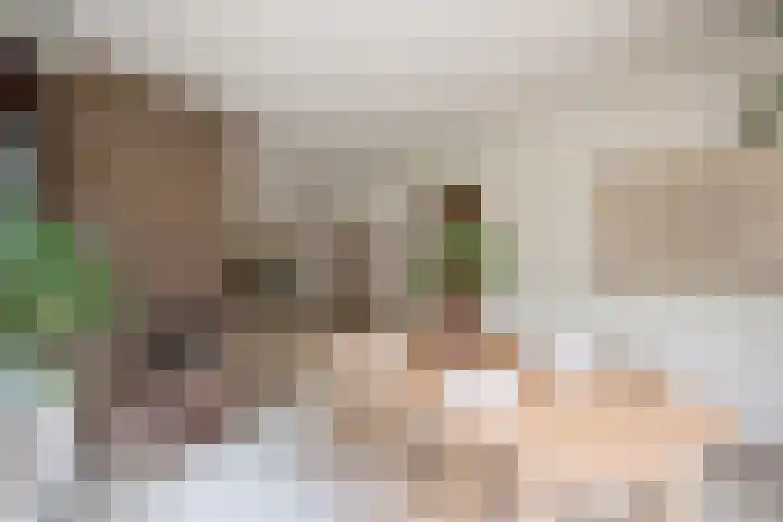Paolalaan 16 Nunspeet thumbnail 17