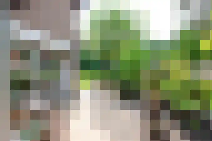 Paolalaan 16 Nunspeet thumbnail 21