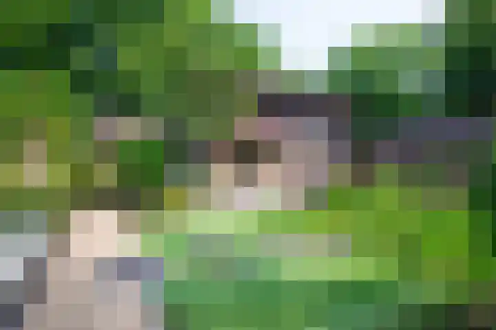 Paolalaan 16 Nunspeet thumbnail 24