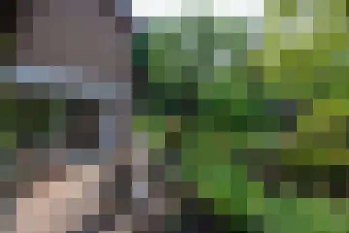 Paolalaan 16 Nunspeet thumbnail 25