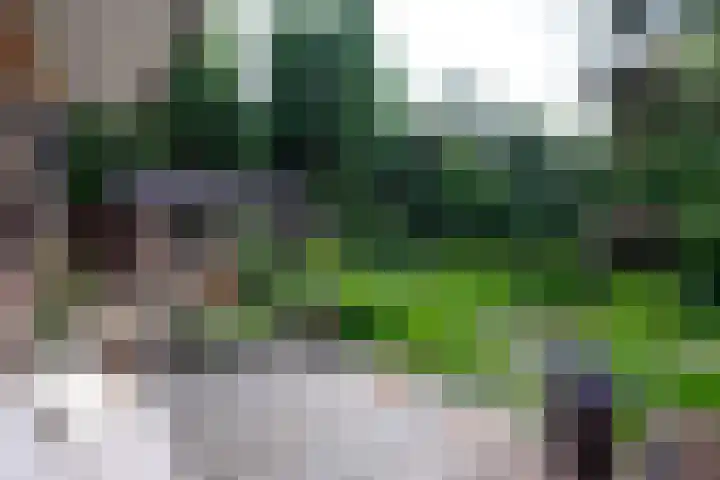 Paolalaan 16 Nunspeet thumbnail 26