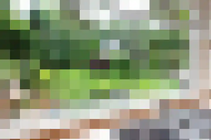 Paolalaan 16 Nunspeet thumbnail 28