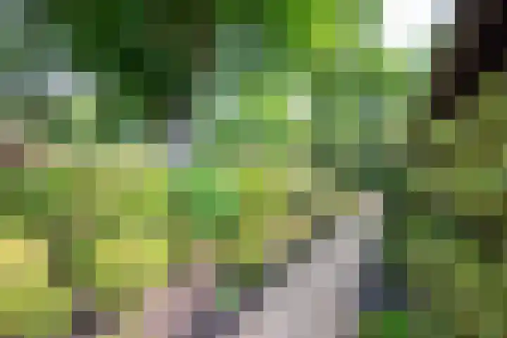 Paolalaan 16 Nunspeet thumbnail 45