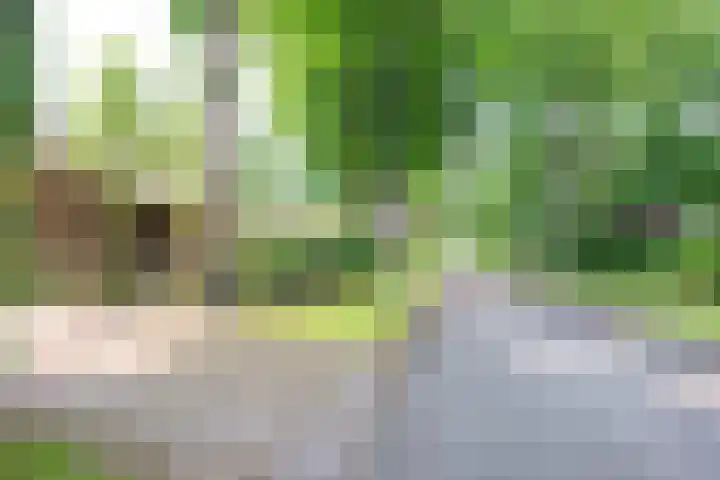 Paolalaan 16 Nunspeet thumbnail 47