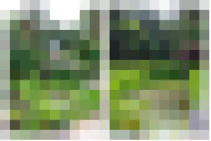 Paolalaan 16 Nunspeet thumbnail 51