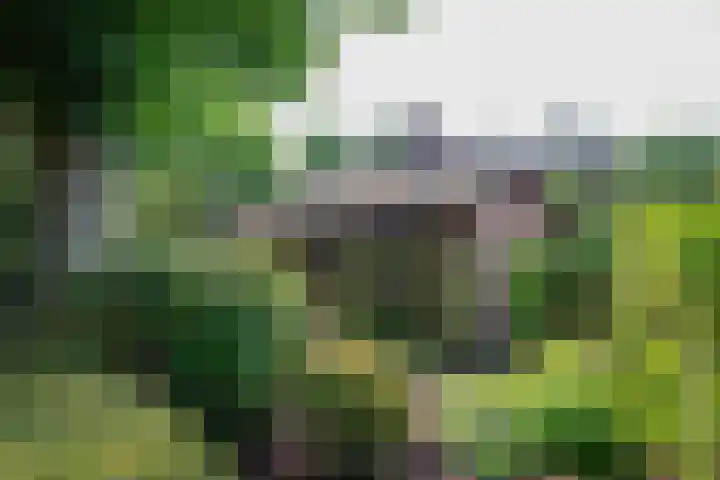 Paolalaan 16 Nunspeet thumbnail 54