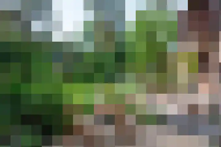 Paolalaan 16 Nunspeet thumbnail 8