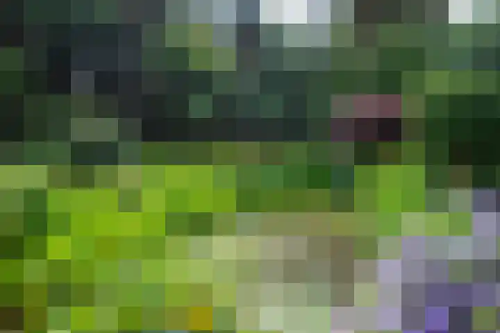 Paolalaan 16 Nunspeet thumbnail 9