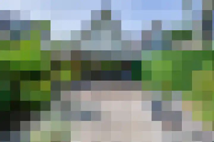 Papaver 22 Werkendam thumbnail 19