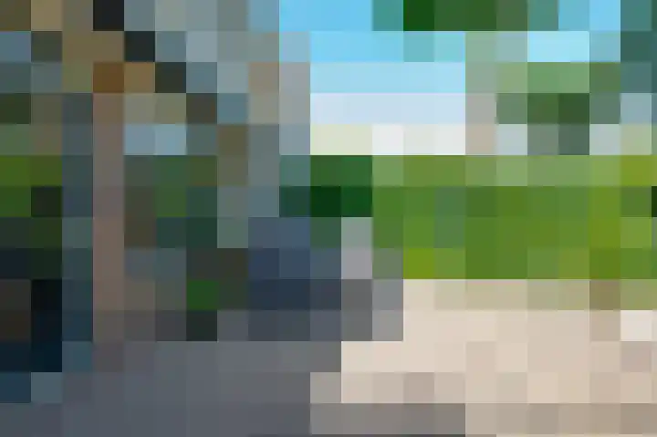 Papaver 22 Werkendam thumbnail 20