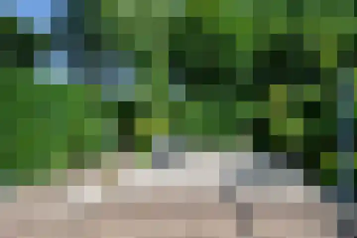 Papaver 22 Werkendam thumbnail 21