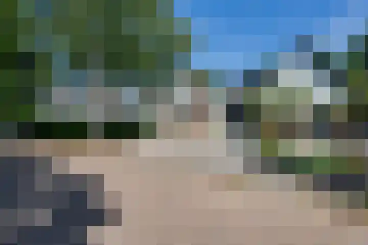 Papaver 22 Werkendam thumbnail 24