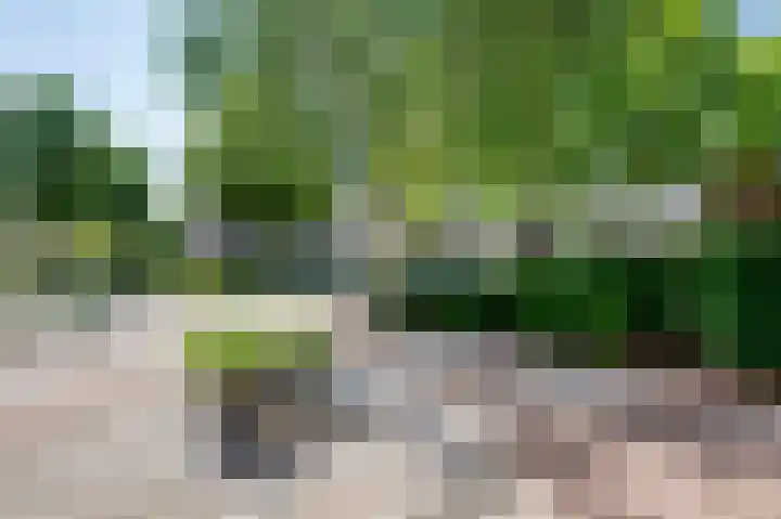 Papaver 22 Werkendam thumbnail 25
