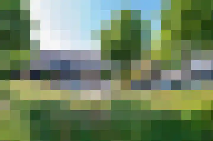 Papaver 22 Werkendam thumbnail 26